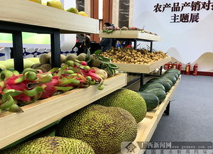 2018全國農(nóng)產(chǎn)品產(chǎn)銷對接行廣西站活動舉行，食用油產(chǎn)業(yè)迎來新機(jī)遇