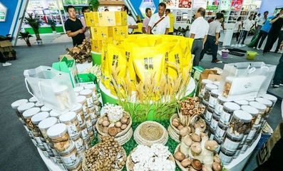 對接長三角市場！阜陽組團參加上海農(nóng)交會，食用油產(chǎn)品受關注