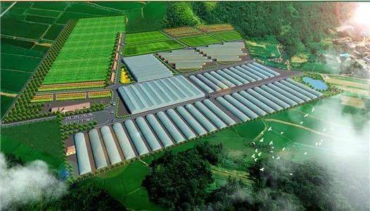 推動產(chǎn)業(yè)升級 2023年農(nóng)業(yè)農(nóng)村部重點發(fā)展鄉(xiāng)村旅游與農(nóng)產(chǎn)品精深加工